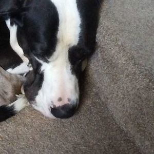 Meet your Posher, Gavin